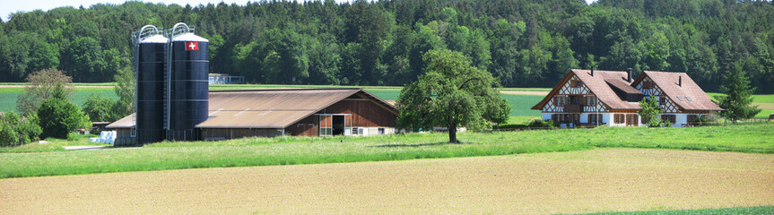 Swiss farm