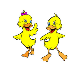 Two yellow ducklings