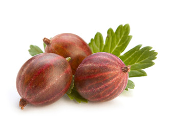 Gooseberry with leaf