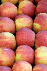 apple nature background