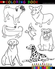  Cartoon honden voor kleurboek of pagina © Igor Zakowski