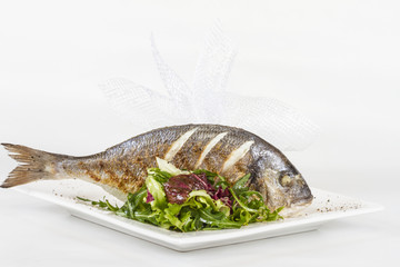 Dorada fish with salad on the white plate. Studio shot