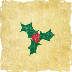 Berry of christmas on grunge paper background and pattern