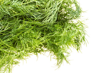 Fresh branches of green dill isolated on white background.
