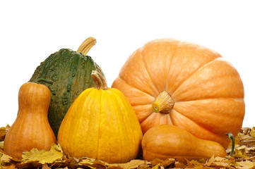 Ripe pumpkins