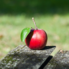 Красное яблоко на старом столе в саду