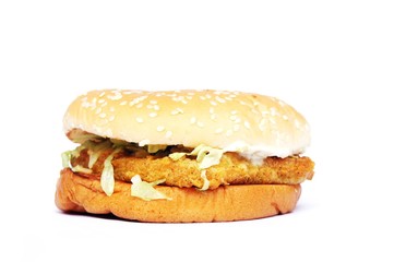 Chicken burger on white background