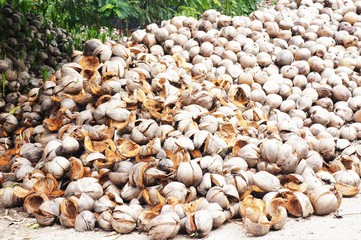 pile of coconut shell
