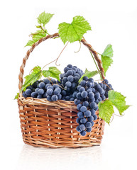 Dark grapes with leaves in a wicker basket, Isolated on white