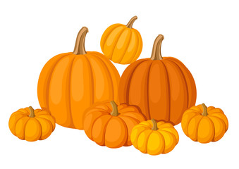 Fototapeta premium Group of seven orange pumpkins. Vector illustration.