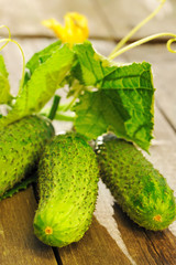 Cucumber on wooden table
