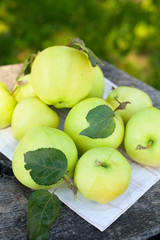fresh apples on wooden garden table