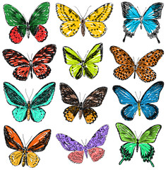 Obraz na płótnie Canvas wielobarwne motyle
