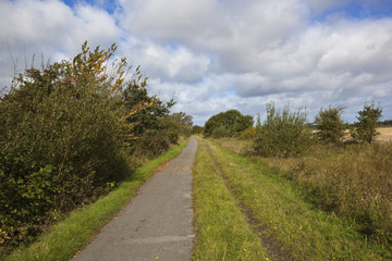 Fototapeta na wymiar autumn cycle track