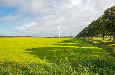 Harvesting wind energy in the countryside