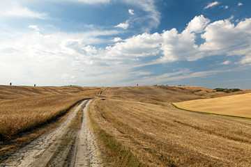 The road in the valley