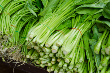 variety of fresh vegetables in market