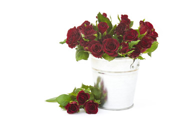 red roses in a bucket
