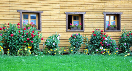 flowers in the house