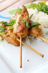 Chicken Satay