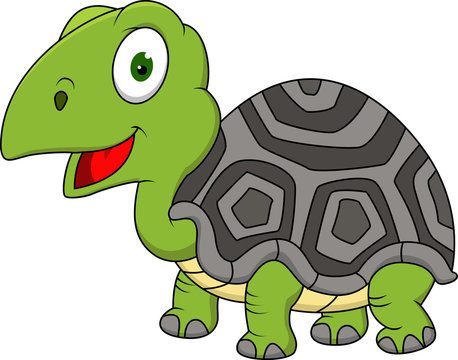 Turtle cartoon