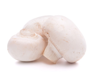 Champignon mushroom