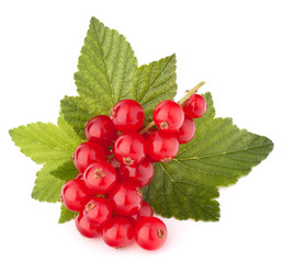 Red currants and green leaves still life
