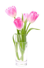Pink tulips bouquet in vase isolated on white background