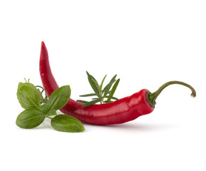 Chili pepper