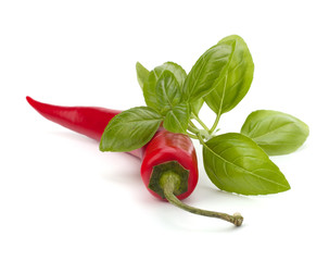 Chili pepper and flavoring herbs