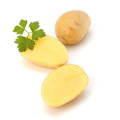New potato and green parsley