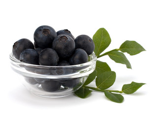 Blue bilberry or whortleberry