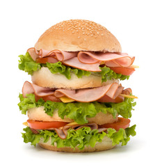 Junk food hamburger