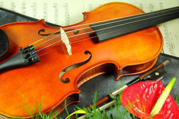 Violin with flower on a music sheet