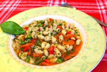 vegetarische Nudelsuppe