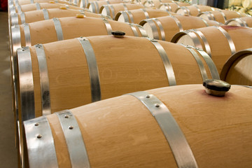 Wine barrels in wineyard cellar