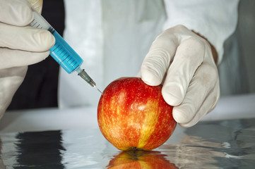 Red apple in genetic engineering laboratory, gmo food concept - obrazy, fototapety, plakaty