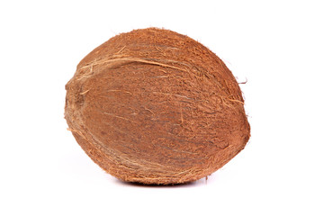 Coconut on a white background