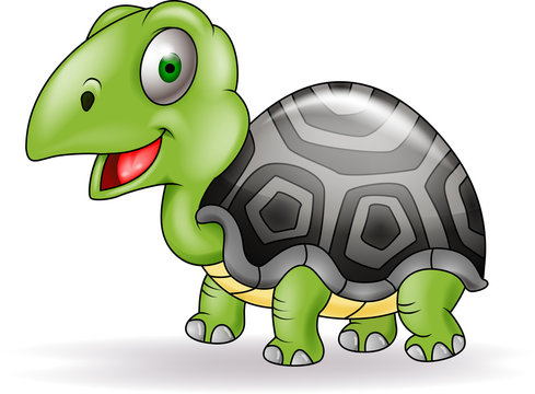 Turtle cartoon
