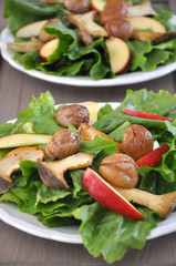 Herbstlicher Salat mit Maroni, Apfelspalten und Pilzen