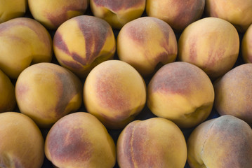 Peach close up