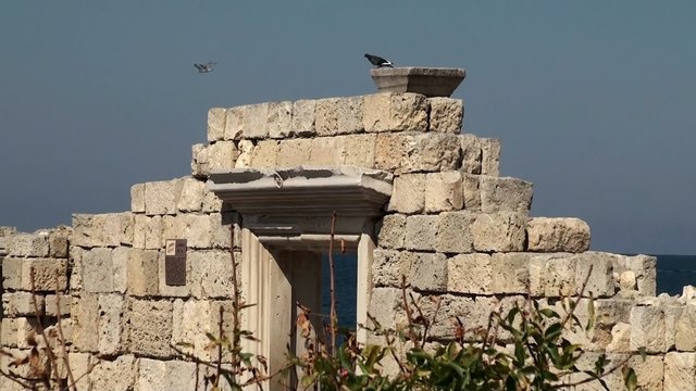 Ruins of the Chersonesos Greek city, Sevastopol (Crimea)