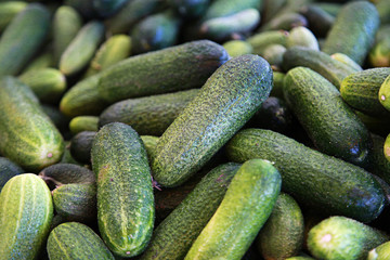 Gurken auf dem Markt
