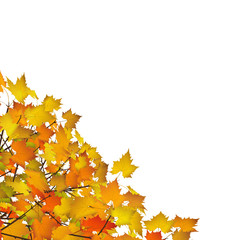Herbst, Blätter, Ecke, Dekoration, Vorlage, Herbstblätter, Gelb