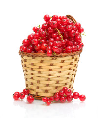 Red currant in a basket on a white background