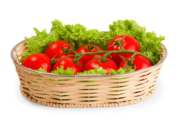 Tomate with salad in basket isolated