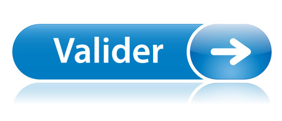 Fototapeta premium Bouton Web 