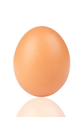Egg over white background