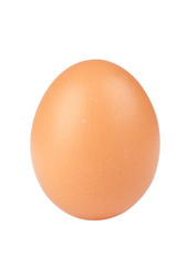 Egg over white background
