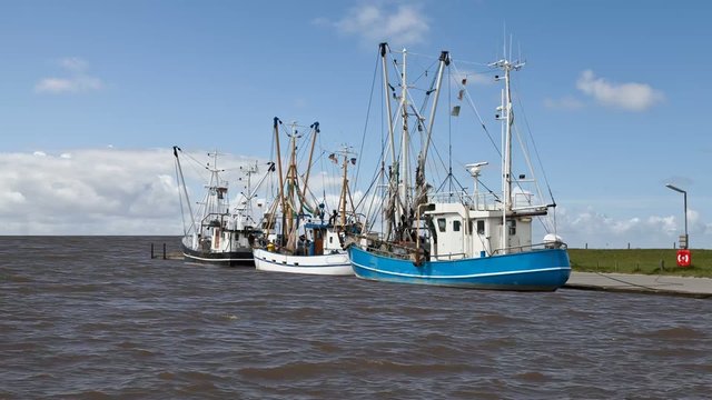 Krabbenkutter am Pier
